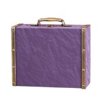 Wooden Decorative Storage Trunk, Antique Luggage Style Display Chest, Keepsake Home Décor, 23.5x7cm, Room Organization