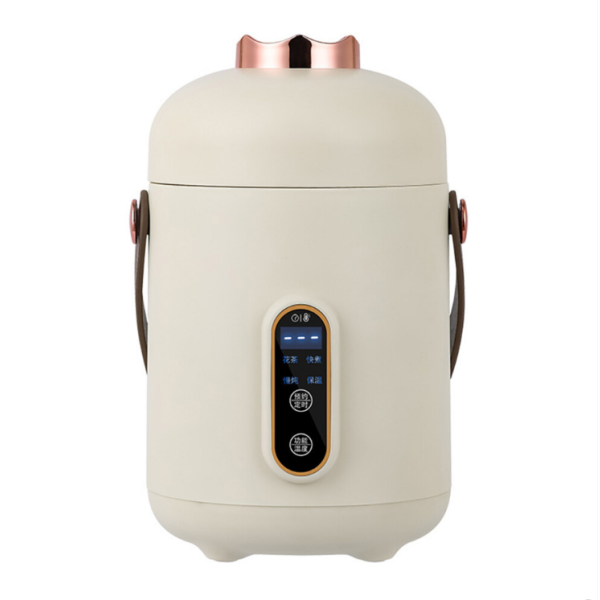 Mini Portable Electric Cup Multifunctional Health Preserving Electric Stew Cup Office Electric Pot for Boiling Water Porridge Milk