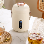 Mini Portable Electric Cup Multifunctional Health Preserving Electric Stew Cup Office Electric Pot for Boiling Water Porridge Milk