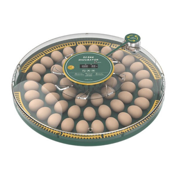52 Eggs Incubator with Auto Turn, Humidity & Temp Display, Dual Power
