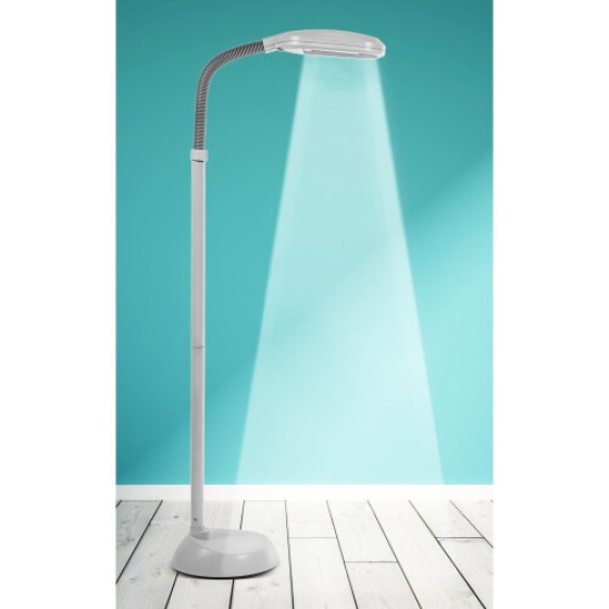 Kenley Natural Daylight Floor Lamp - Equipped with High-Efficiency Energy-Saving Bulb