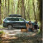 Thule Force 3 XXL スポーツサイズのルーフトップカーゴボックス