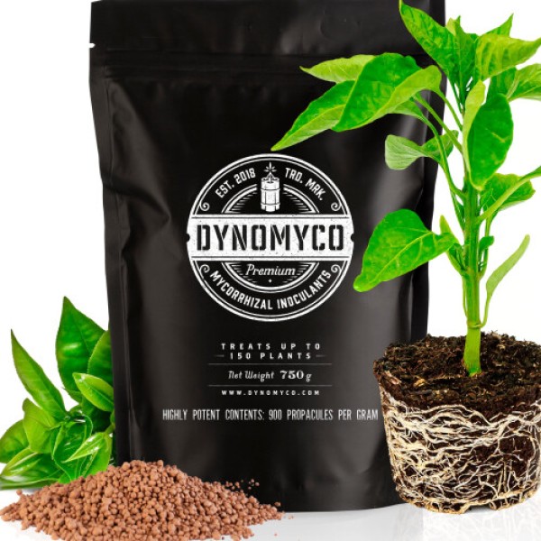 Mycorrhizal Inoculant by DYNOMYCO ? High Performing Strains ? Concentrated Formula ? Improves Nutrient Uptake ? Increases Plant Yields Enhances