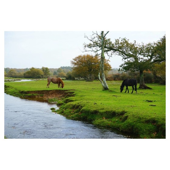 Certikin 50Mm/2.00” Flexible Heavy Duty Hose (Black) - 30M (FP50HD/30)