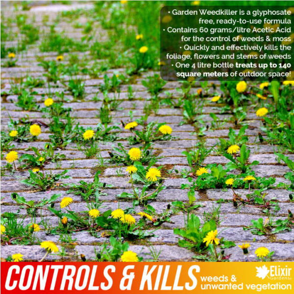 (はい, 12) 4リットル 即効性グリホサート不使用 雑草・苔駆除剤 | 有機・天然 すぐ使える酢酸フォーミュラ (60g/l) | 24時間で効果