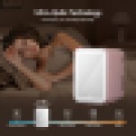 (4L Pink) LED Mirror Mini Fridge Portable Ice Box 4/8/10L UK