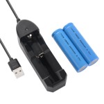 2x 2200mAh 18650 Rechargeable Battery for Torch Lamp + DC5V USB Charger