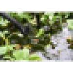 Heissner Pond and Pool Vacuum Cleaner (with Battery Kit)