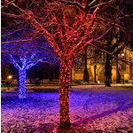 Festive Lights - ConnectPro Outdoor LED Fairy Lights - Connectable IP65 Rubber Black Cable | Wedding, Christmas, Garden, Commercial, Party (Red